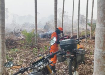 Motor Bantuan Presiden Prabowo Subianto Dikerahkan BPBD Tanjab Timur Tembus Lokasi Titik Api Karhutla