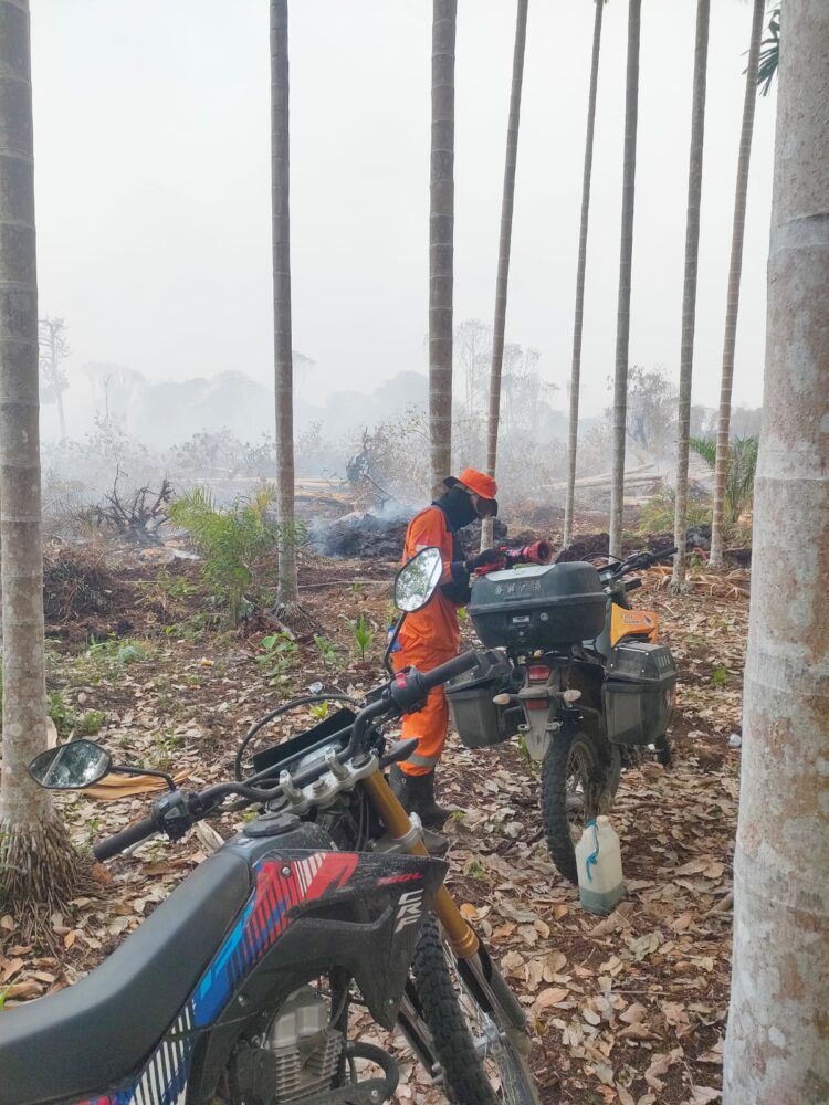 Motor Bantuan Presiden Prabowo Subianto Dikerahkan BPBD Tanjab Timur Tembus Lokasi Titik Api Karhutla