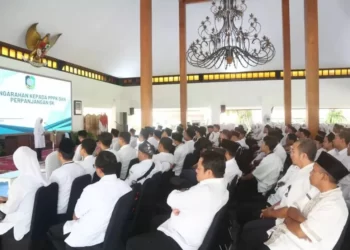Jelang Pendaftaran CPNS 2024 Resmi Dibuka, Cek Syarat yang Harus Dipersiapkan