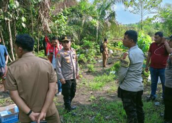 Warga Geragai Tanjab Timur Temukan Kerangka Manusia di Area Perkebunan