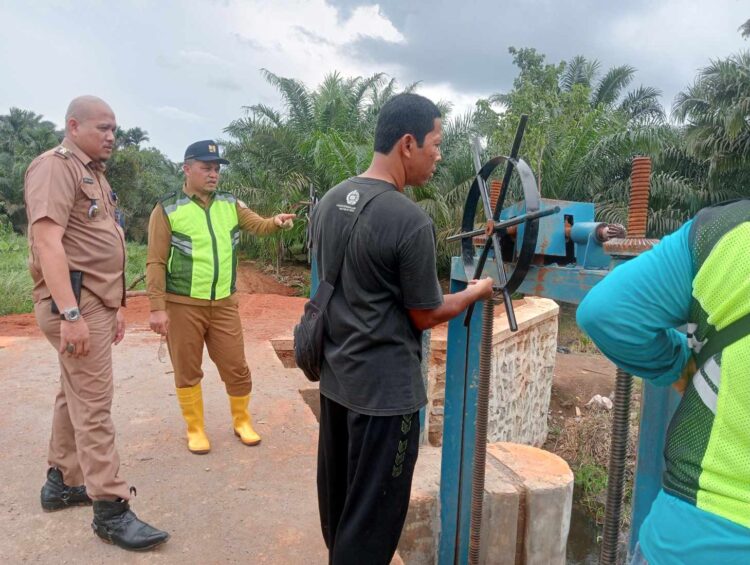 Pembangunan Pintu Air dan Normalisasi Saluran Irigasi di Lokasi Sawah Tadah Hujan Teluk Dawan Tanjab Timur 
