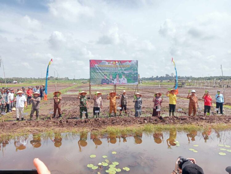 Pabung 0419/Tanjab Dampingi Wakil Bupati Tanjab Timur Melakukan Penanaman Padi Serentak Dalam Program Swasembada Pangan Nasional