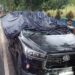Perwira Polres Tanjabtim Meninggal Dunia Akibat Mobil yang Dikendarai Tertimpa Batang Pohon di Jalan Lintas