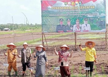 Dinas TPH Tanjab Timur Dukung Swasembada Pangan Nasional, Targetkan Tanam Padi 10 Ribu Hektare di 2025