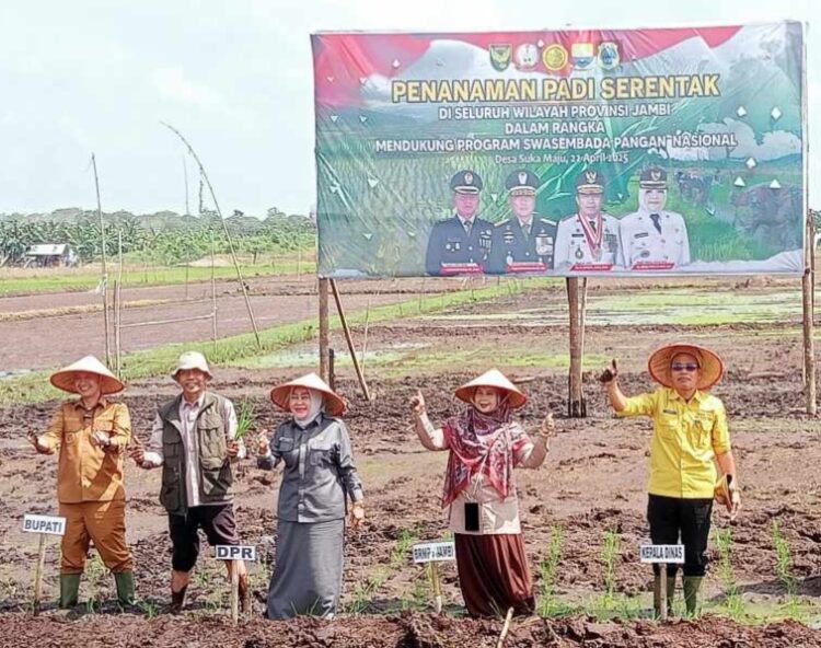 Dinas TPH Tanjab Timur Dukung Swasembada Pangan Nasional, Targetkan Tanam Padi 10 Ribu Hektare di 2025