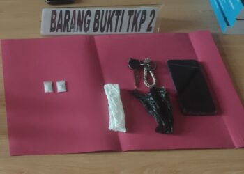 Menindaklanjuti Laporan Masyarakat, Tim Opsnal Satnarkoba Polres Tanjab Timur Mengamankan Seorang Kurir Asal Kuala Jambi