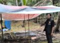 Kapolsek Mendahara Merespon Cepat Keluhan Masyarakat Terkait Aktivitas Sambung Ayam yang Meresahkan